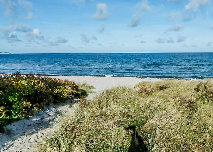 Сasa de vacaciones 11174-nykobing-sj-pilehaekken-6 Nykøbing Sjælland